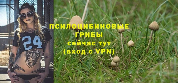 бошки Абаза