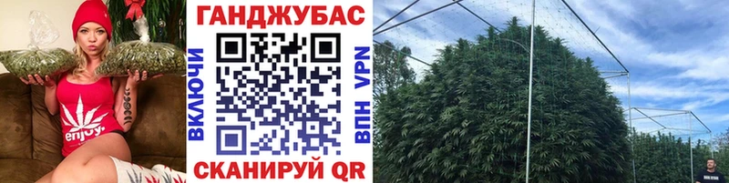 наркота  Весьегонск  Марихуана Bruce Banner 